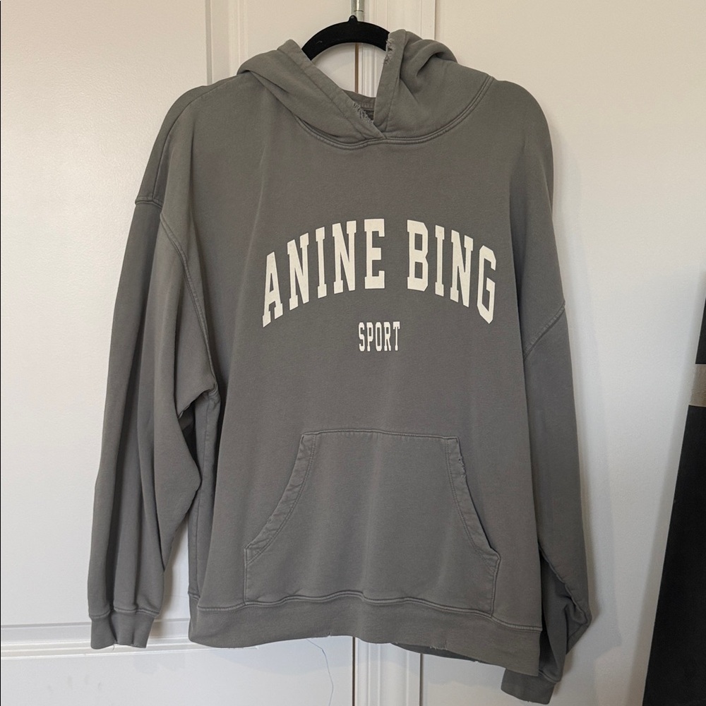 Anine Bing Sport Charcoal Hoodie